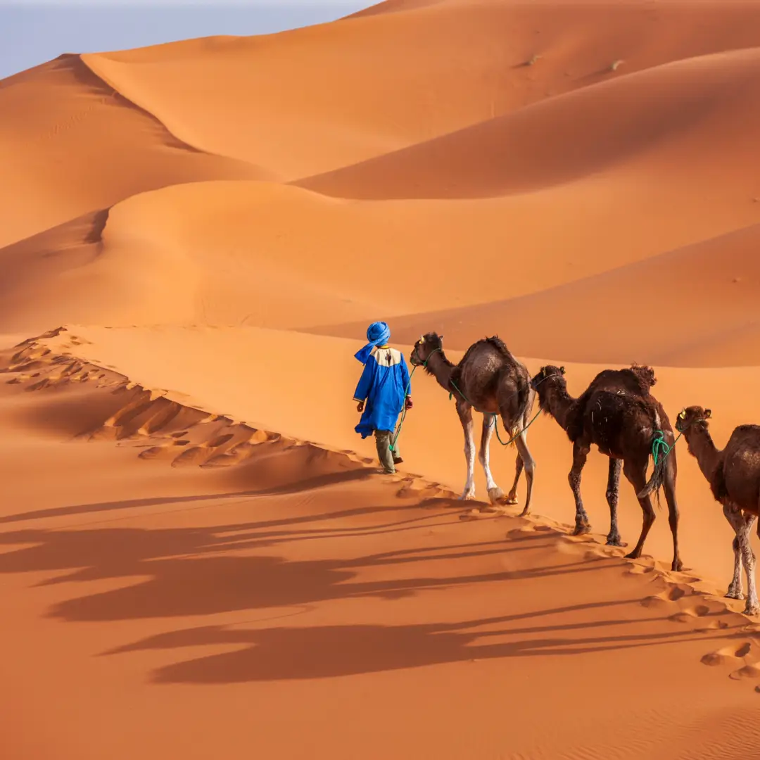 iflight centre inspo feb 6 morocco