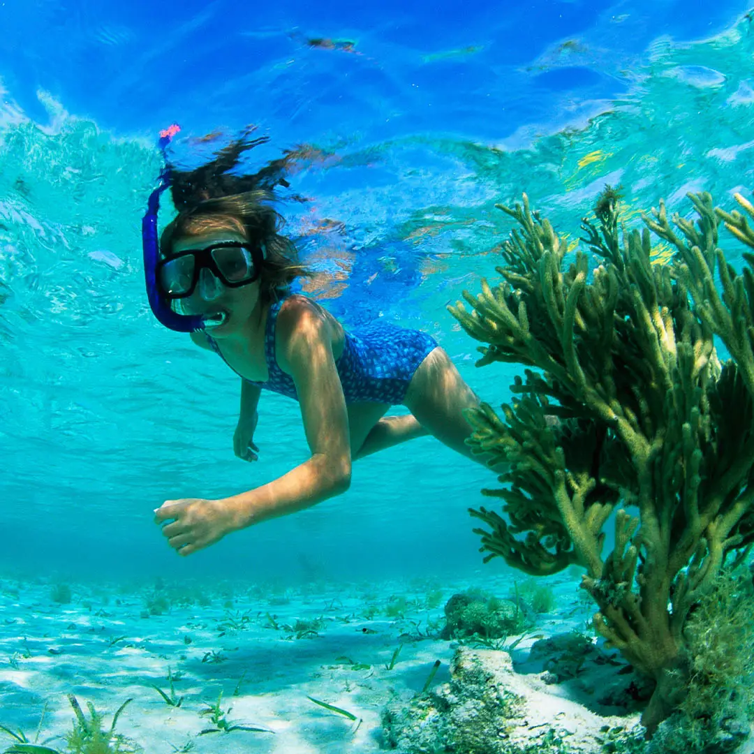 mauritius diving and snorkeling